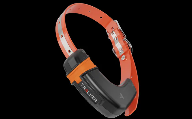 Hovedbilde Tracker Luna 4G  IoT hundepeiler